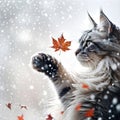 The grey cat is surprised to say goodbye to autumn in a snowfall Royalty Free Stock Photo