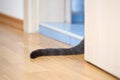 Grey cat tail peeping out from an open bathroom door