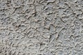 Grey cement in outside texture