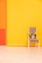 grey chair with flowers on a yellow background interior in the room Royalty Free Stock Photo