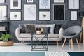 Grey chair next to sofa and table in modern living room interior with plant and posters. Real photo Royalty Free Stock Photo