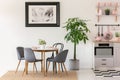 Grey chairs at dining table next to plants in kitchen interior w Royalty Free Stock Photo