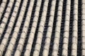 Grey Chinese temple roof Royalty Free Stock Photo