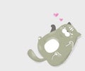 The grey chubby cat needs love on Valentine`s day and everyday Royalty Free Stock Photo