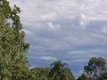 Grey clouds, green trees