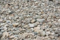 Grey cobbles rounded by river erosion at a former river bed