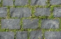 Grey coble stone background. Close up top view of monotone gray brick stone. Sidewalk or pavement with green grass Royalty Free Stock Photo