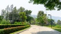 A Grey color concrete road in the middle of trees under shading, colorful flowering plant and green shrub by sideway