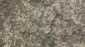 The grey color rock texture natural background. Royalty Free Stock Photo