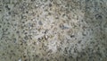 Grey concrete background made of small pebbles . Gravel