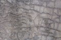 Grey concrete cement wall. Background with crack Royalty Free Stock Photo