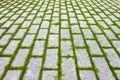 Grey concrete flooring block assembled on a substrate of sand with grass - type of flooring permeable to rain water as required by Royalty Free Stock Photo