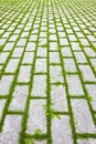 Grey concrete flooring block assembled on a substrate of sand with grass - type of flooring permeable to rain water as required by Royalty Free Stock Photo