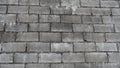 A grey concrete masonry Unit, CMU textured wall in India. Interiors and decoration