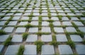 Grey concrete paving stones with grass growing in between. Interlocking pattern forms permeable surface for parking areas, Royalty Free Stock Photo