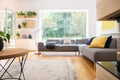 Grey corner couch with cushions in real photo of white living room interior with window, fresh plants, carpet and big lamp Royalty Free Stock Photo