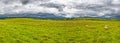 The Grey Corries Range and Ben Nevis, Scotland Royalty Free Stock Photo