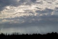 Grey cumulus clouds before rain. Top of forest and ..a ray of sun light. Royalty Free Stock Photo