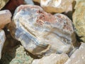 Grey and dark multicolored Agate, transparent quartz and Corallites, Natural treasure. Royalty Free Stock Photo