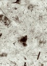 Grey Deckle Edged Natural Wallpaper, Paper, Texture, Abstract, Royalty Free Stock Photo