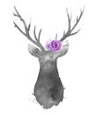 Grey deer silhouette with flowers on the head. Watercolour illustration isolated on white background. Royalty Free Stock Photo