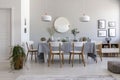 Grey dining room interior with a table, chairs and plant.