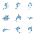 Grey dolphin icon set, cartoon style