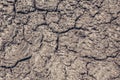 Grey dried and cracked ground earth background. Closeup of dry fissure dark ground. Gray crack on earth texture. erosion Royalty Free Stock Photo