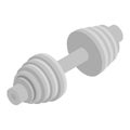 Grey dumbbell icon, isometric style