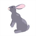 grey easter rabbit isolated on white background