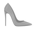 Grey elegant shoe