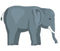 Grey elephant. Cartoon big character of zoo, funny and dangerous animal, exotic beast of wildlife Royalty Free Stock Photo