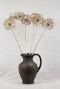 Grey ewer with onion flowers