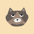 Grey fat cat with funny eyes. Head of grey dissatisfied cat. Cat head cartoon. Royalty Free Stock Photo