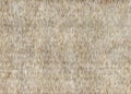 Grey faux fur background texture Royalty Free Stock Photo