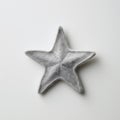 Little Star A Delicate Gray Hair Star With Hyperrealistic Marine Life Style