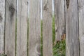 A fence with gaps and broken board