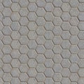 Grey Figured Pavement with Honeycombs.