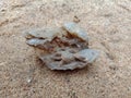 Grey fire stone with texture on the sand. textured background wallpaper, beach. ocean. Royalty Free Stock Photo