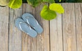 Grey Flip Flop sandals on a beach side boardwalk.  Wide angle Royalty Free Stock Photo