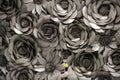 Grey flower background behind single daisy flower