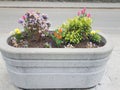 Grey flower pot or planter with a variety of colorful flowers Royalty Free Stock Photo