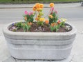 Grey flower pot or planter with a variety of colorful flowers Royalty Free Stock Photo