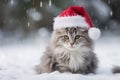 Grey fluffy cat in a christmas outfit outside in the snow. Christmas card Royalty Free Stock Photo