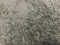 Grey fluffy rug