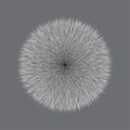 Grey Fluffy Vector Hair Ball Royalty Free Stock Photo