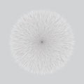 Grey Fluffy Vector Hair Ball Royalty Free Stock Photo