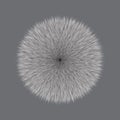 Grey Fluffy Vector Hair Ball Royalty Free Stock Photo