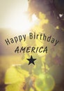 Grey fourth of July graphic against blurry leaves with flares