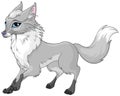 Elegance Grey fox